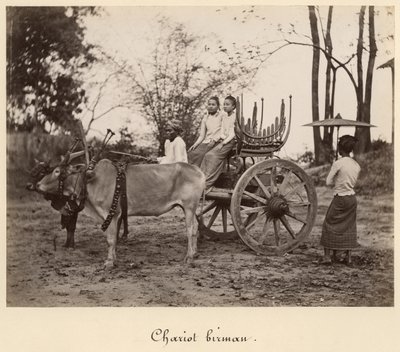 Cart pulled by two oxen at Mandalay, Burma, c.1885 by English Photographer